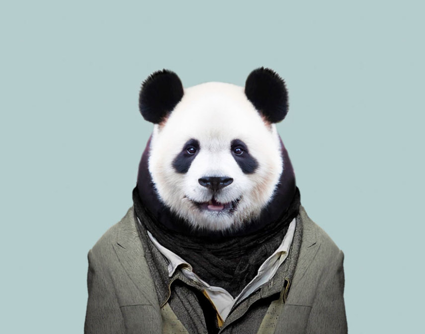 Yago Partal passou três anos de sua vida fotografando animais e os vestindo cada um deles como humanos. Digitalmente, é claro.