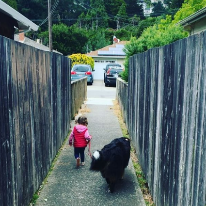 A fofa Ruby está crescendo com dois amigos do seu tamanho: os lindos Dudley (Biggie) e Lucy (Wooster), cachorros enormes no tamanho e na paciência da raça Boiadeiros de Berna.