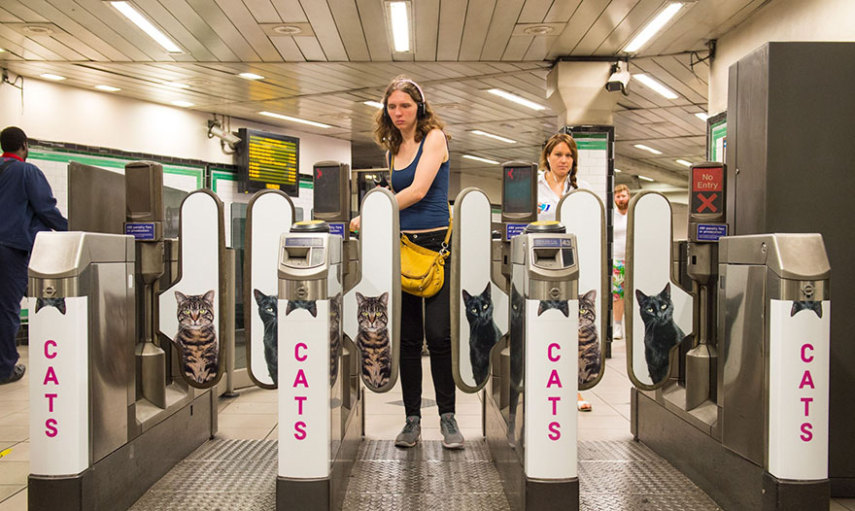 Estação do metrô em Londres é dominada por anúncios de gatos