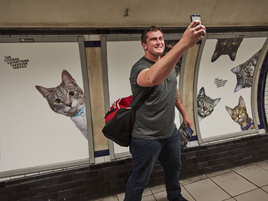 Estação do metrô em Londres é dominada por anúncios de gatos