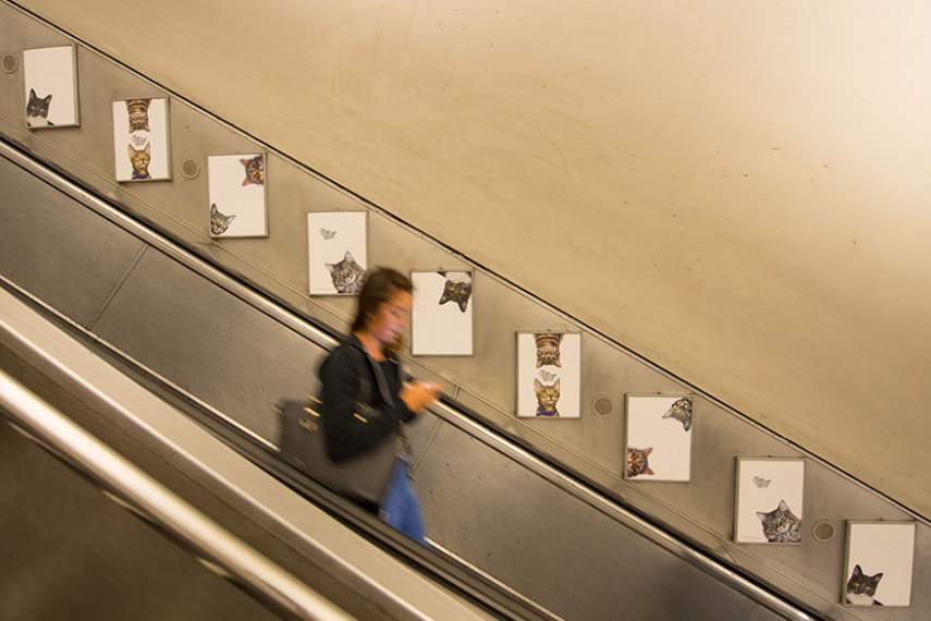 Estação do metrô em Londres é dominada por anúncios de gatos