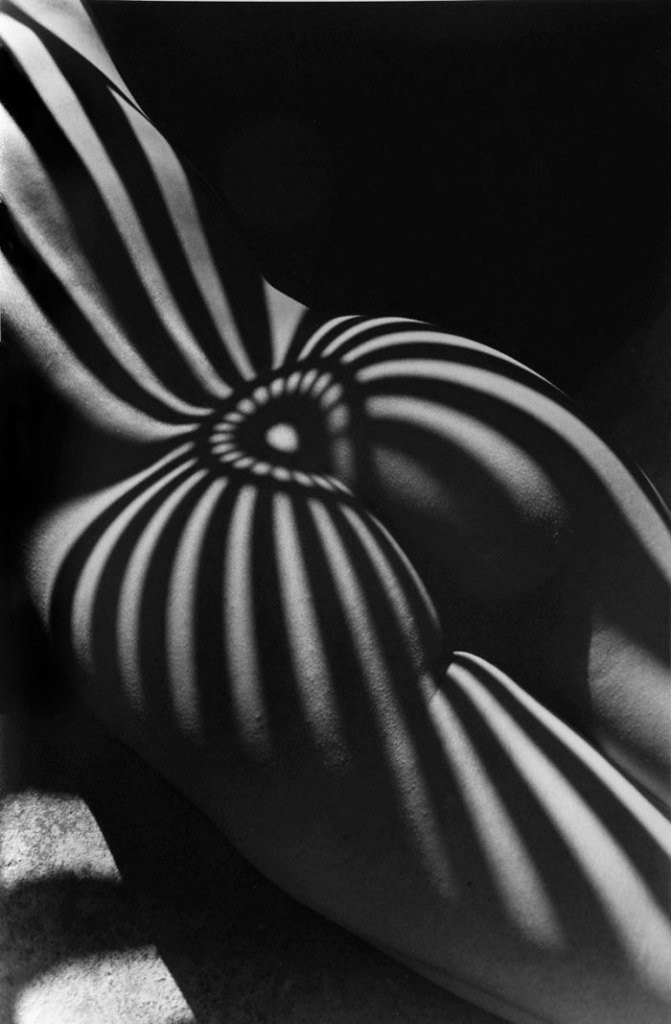 Fotos perfeitas com uso criativo das sombras