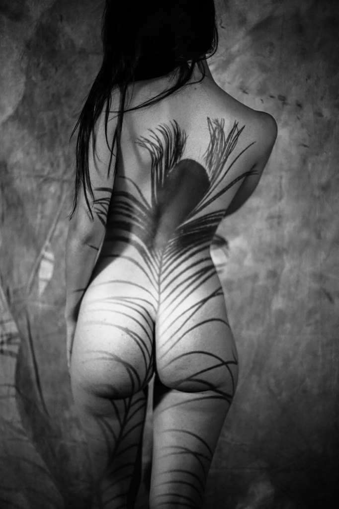 Fotos perfeitas com uso criativo das sombras