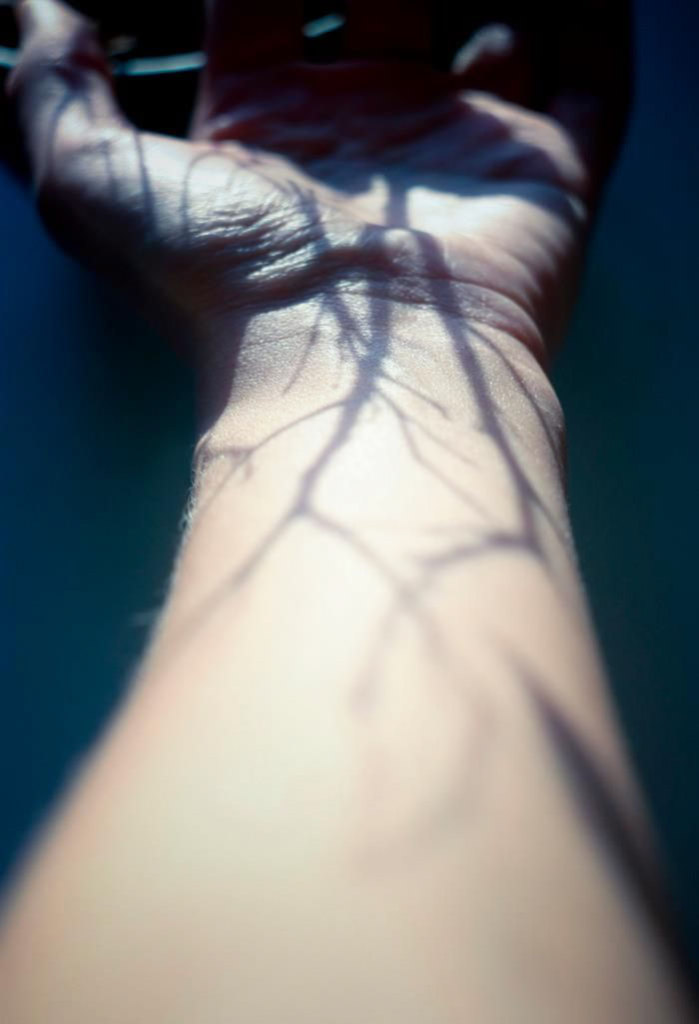 Fotos perfeitas com uso criativo das sombras