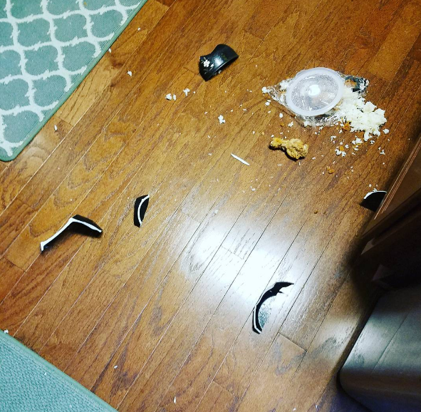 Estas fotos mostram que cozinhar não é o rolê ideal para algumas pessoas