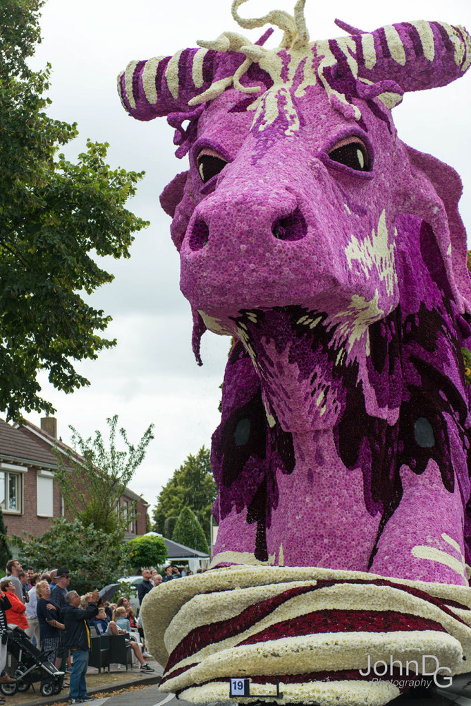 Corso Zundert, parada das flores na Holanda