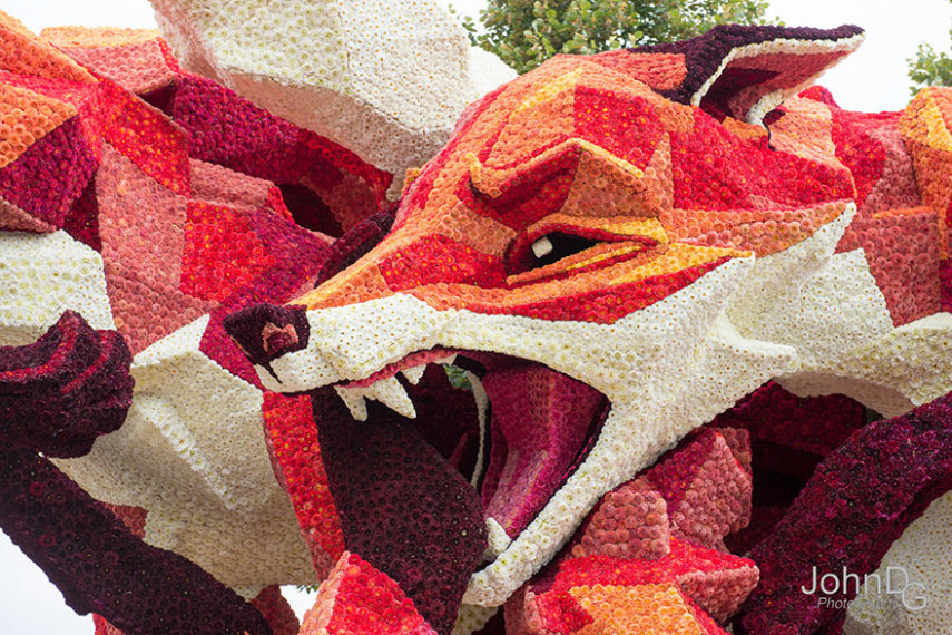 Corso Zundert, parada das flores na Holanda