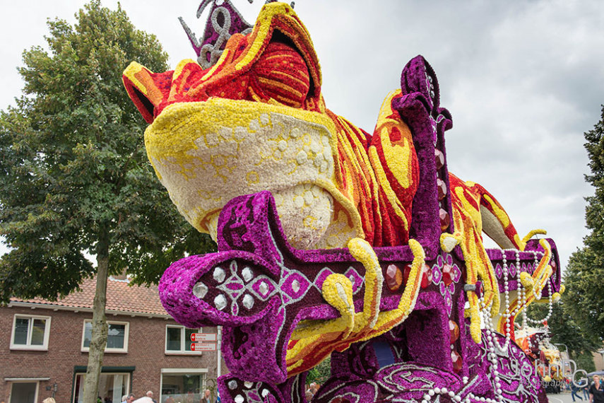Corso Zundert, parada das flores na Holanda