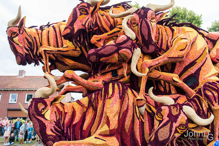 Corso Zundert, parada das flores na Holanda