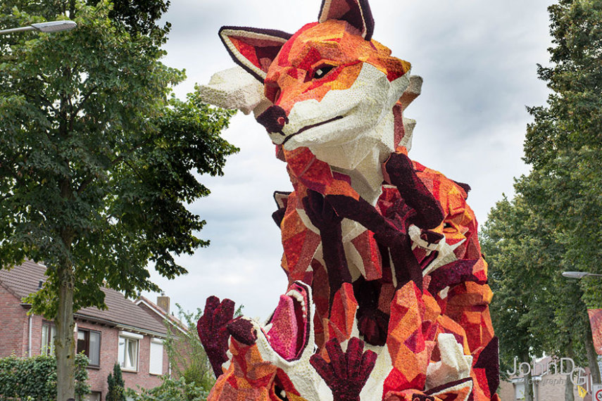 Corso Zundert, parada das flores na Holanda