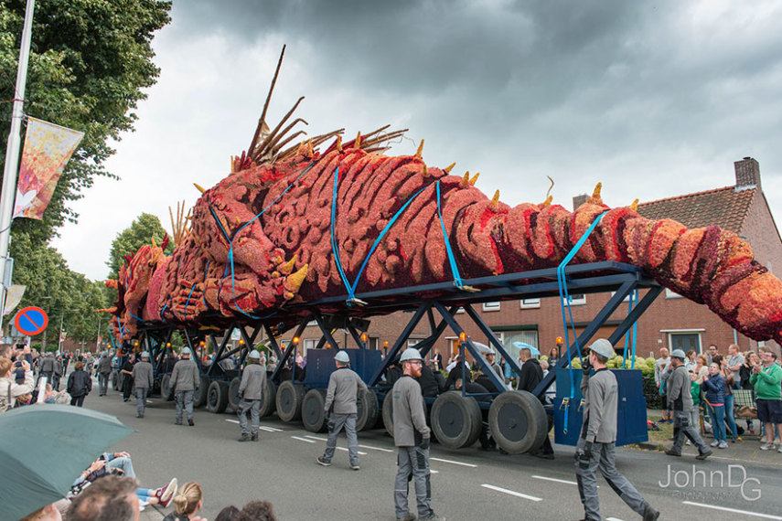 Corso Zundert, parada das flores na Holanda
