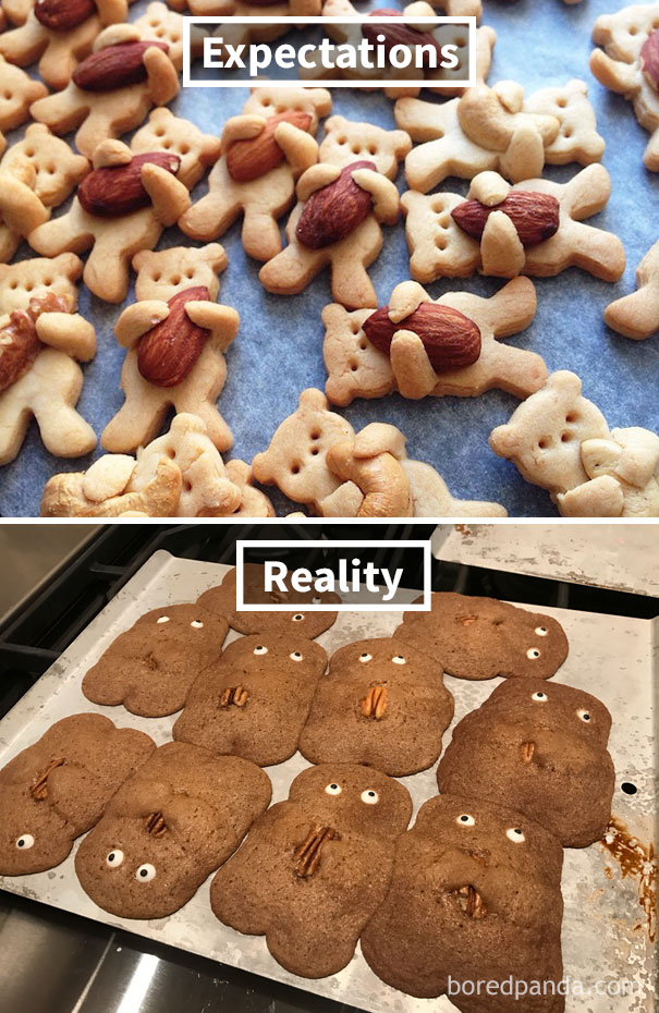 Estas fotos mostram que cozinhar não é o rolê ideal para algumas pessoas