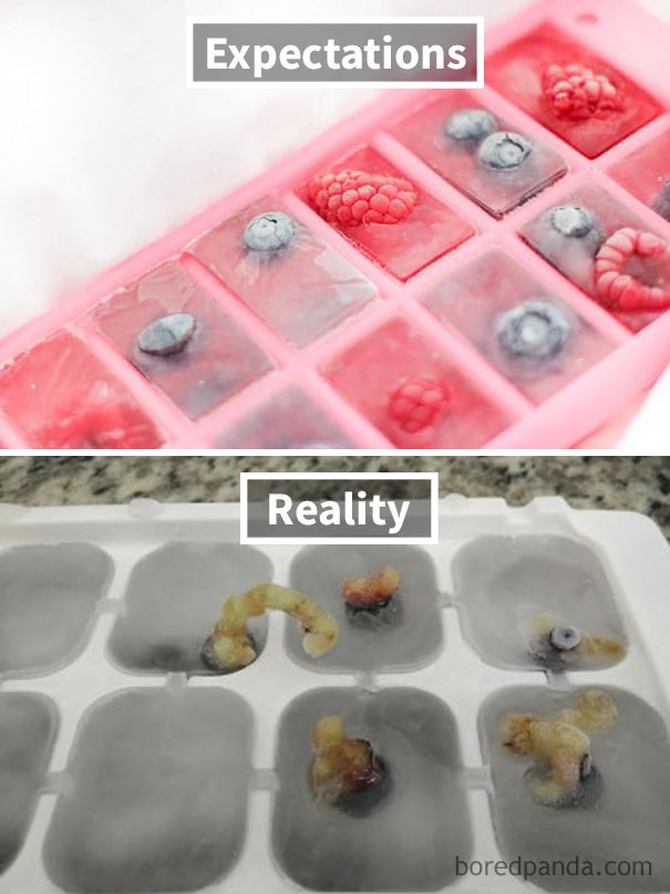 Estas fotos mostram que cozinhar não é o rolê ideal para algumas pessoas