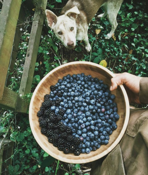 Página @true.living reúne imagens de viagens que vão te encantar e fazer você repensar a vida!