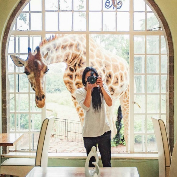 Página @true.living reúne imagens de viagens que vão te encantar e fazer você repensar a vida!