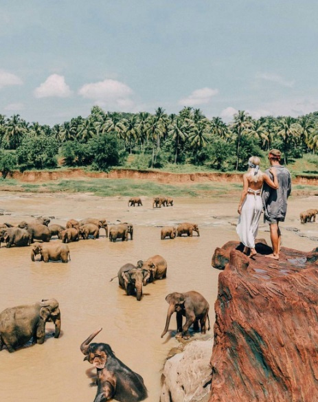 Página @true.living reúne imagens de viagens que vão te encantar e fazer você repensar a vida!