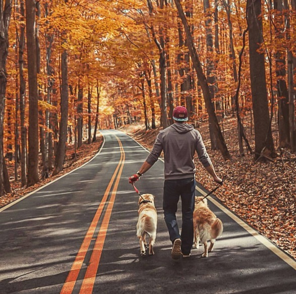 Página @true.living reúne imagens de viagens que vão te encantar e fazer você repensar a vida!