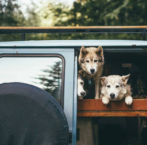 Página @true.living reúne imagens de viagens que vão te encantar e fazer você repensar a vida!