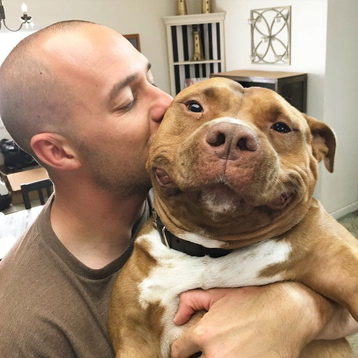 Meaty é um catioro que já conquistou 40 mil corações no Instagram. Porém, antes da fama, a vida do Pitbull caramelo não foi fácil.  Depois de sofrer maus-tratos, o grandão foi resgatado por uma ONG de proteção animal, até que Lisa Reilly, uma moradora da Califórnia, nos EUA, viu uma foto dele na internet, se apaixonou e o adotou. O bichinho ganhou um lar, e, desde então, não tirou mais o sorriso da cara!