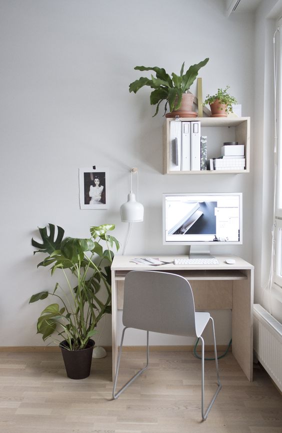 Ter um cantinho verde em casa reduz o estresse e aumenta a beleza! Então, se liga nestas ideias de como ter plantas em apartamentos e casas pequenas