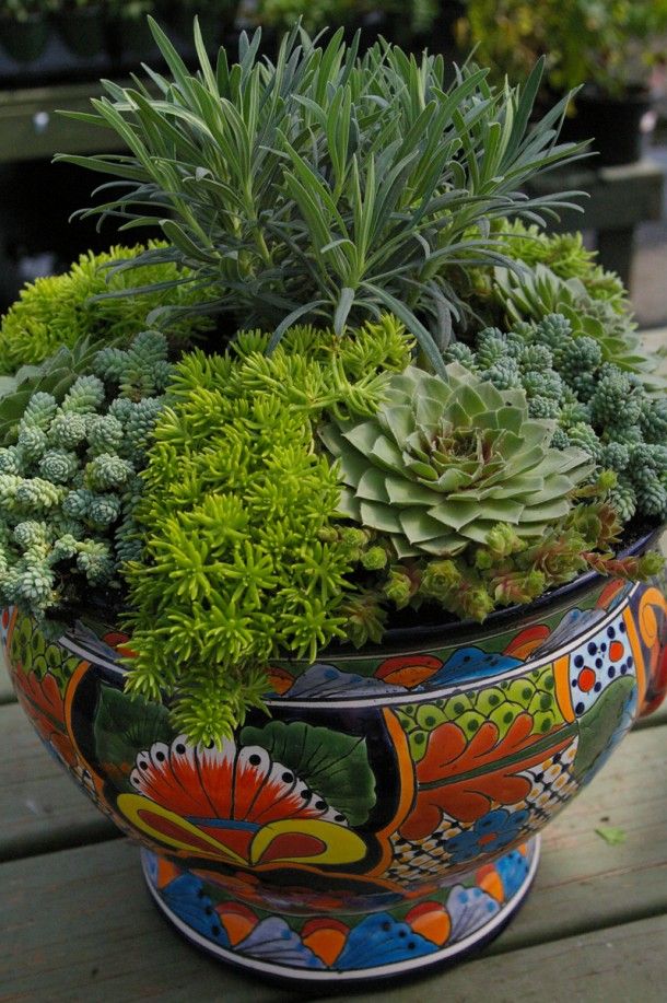 Ter um cantinho verde em casa reduz o estresse e aumenta a beleza! Então, se liga nestas ideias de como ter plantas em apartamentos e casas pequenas