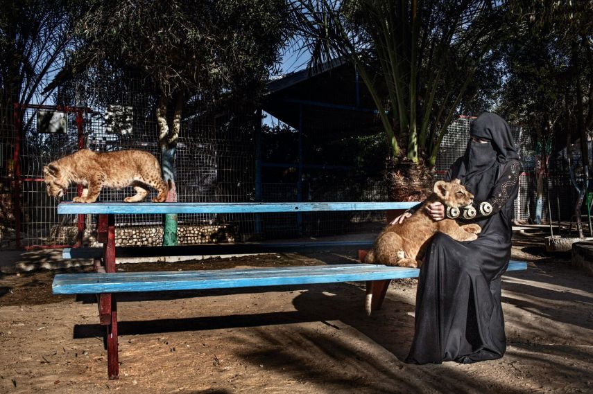 A fotógrafa Tanya Habjouqa registra prazeres cotidianos da vida de quem mora em áreas de conflito, como Faixa de Gaza e Palestina