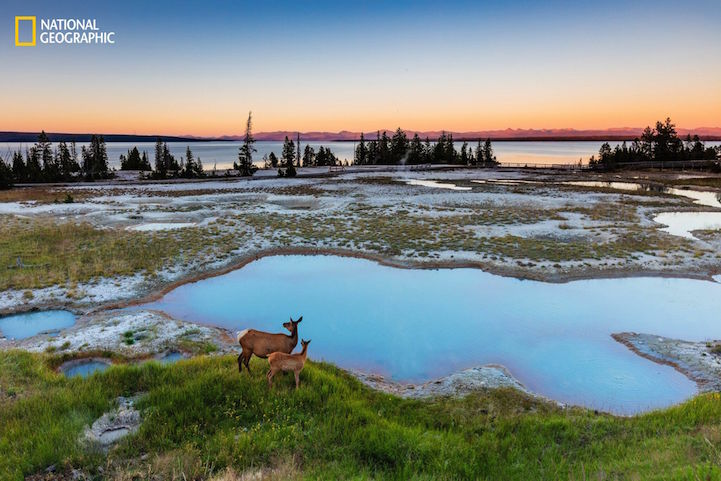 Nature Photographer of the Year