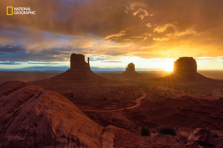 Nature Photographer of the Year