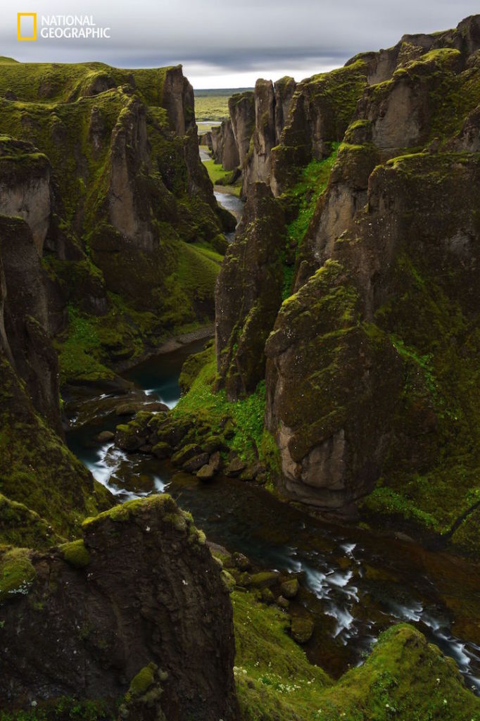 Nature Photographer of the Year