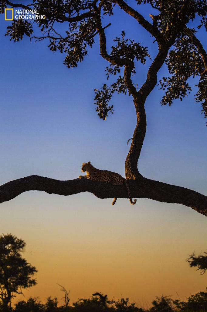 Nature Photographer of the Year