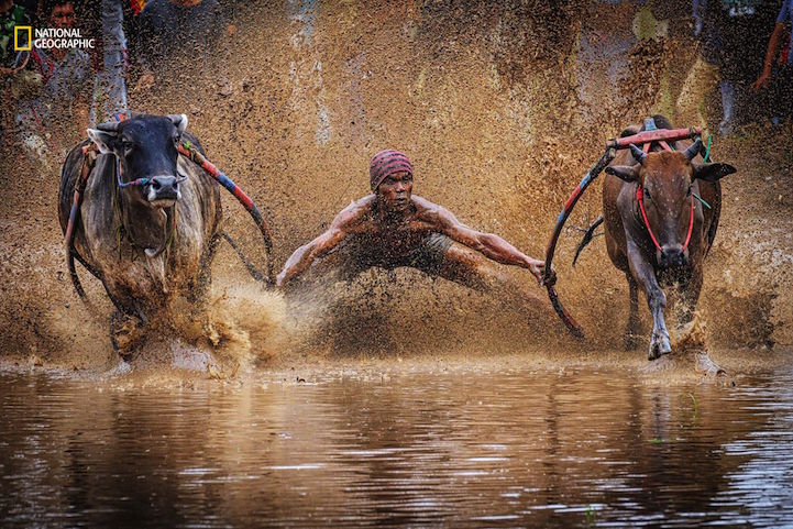 Nature Photographer of the Year