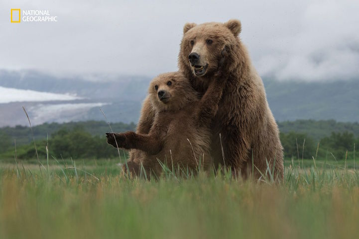 Nature Photographer of the Year