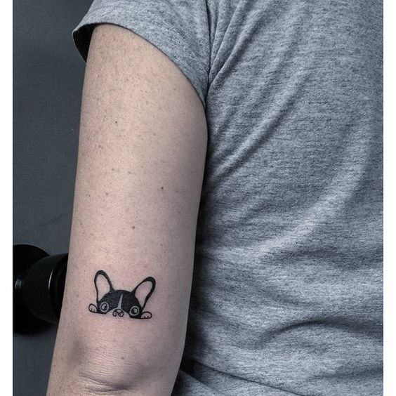 Esses focinhos também merecem uma homenagem especial na pele, para sempre. Qual tattoo você escolheria? :)