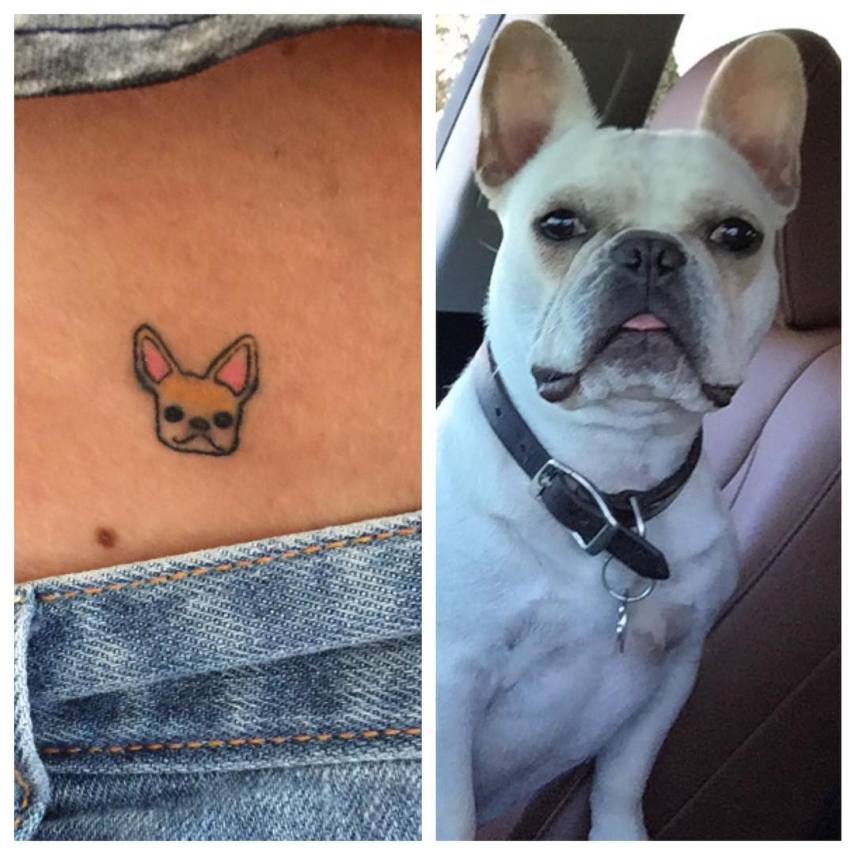 Esses focinhos também merecem uma homenagem especial na pele, para sempre. Qual tattoo você escolheria? :)