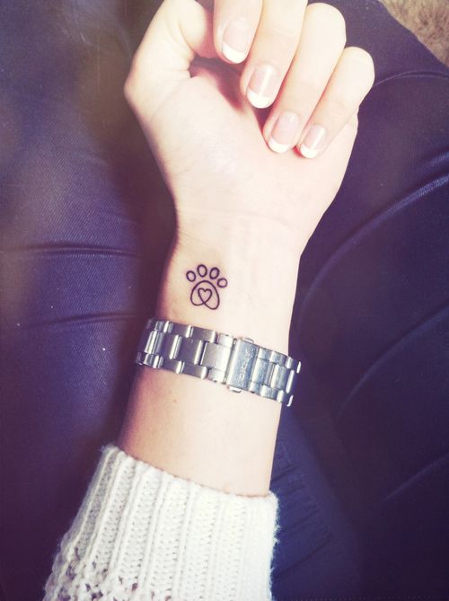 Esses focinhos também merecem uma homenagem especial na pele, para sempre. Qual tattoo você escolheria? :)
