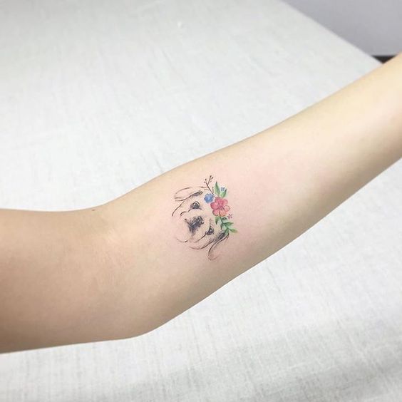 Esses focinhos também merecem uma homenagem especial na pele, para sempre. Qual tattoo você escolheria? :)