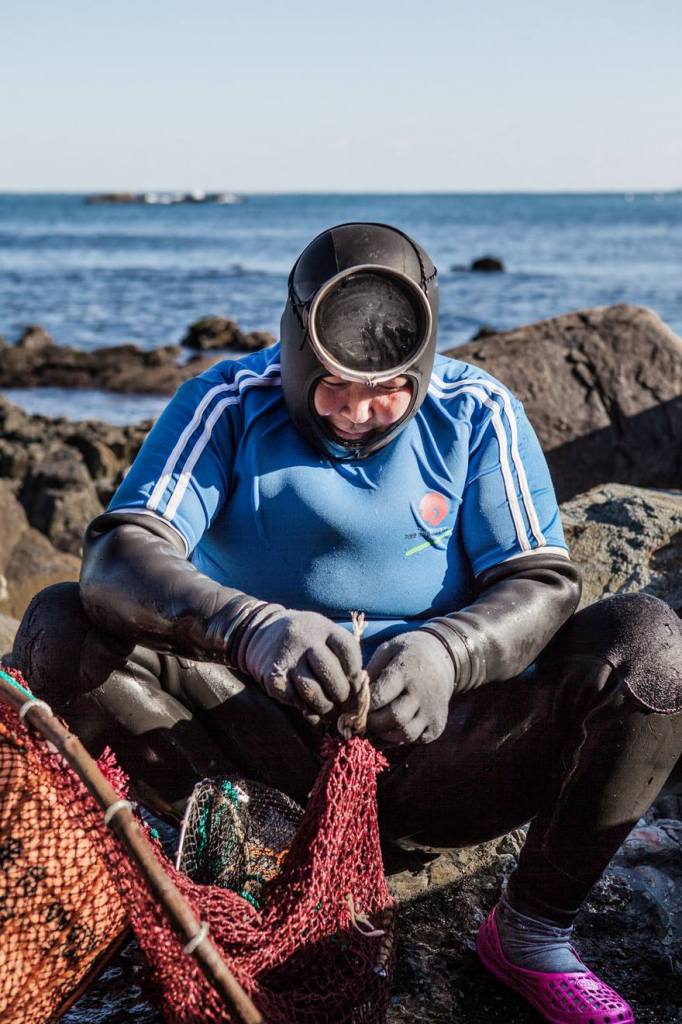 A fotógrafa Mijoo Kim decidiu documentar as Haenyeo, grupo de mulheres que mergulham a profundidades de até 65 pés (20 metros) no fundo do oceano, onde coletam abalones, pepinos do mar, ouriços e lulas. Muitas delas tem mais de 70 anos