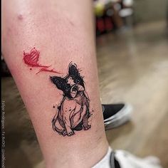 Esses focinhos também merecem uma homenagem especial na pele, para sempre. Qual tattoo você escolheria? :)