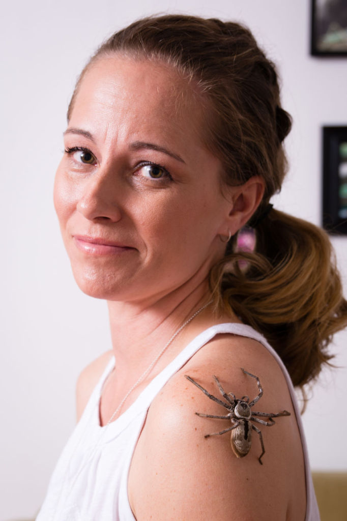 Lisa van Kula Donovan é entomologista e vive em Hervey Bay, Brisbane, na Austrália, onde cria aranhas e outros insetos