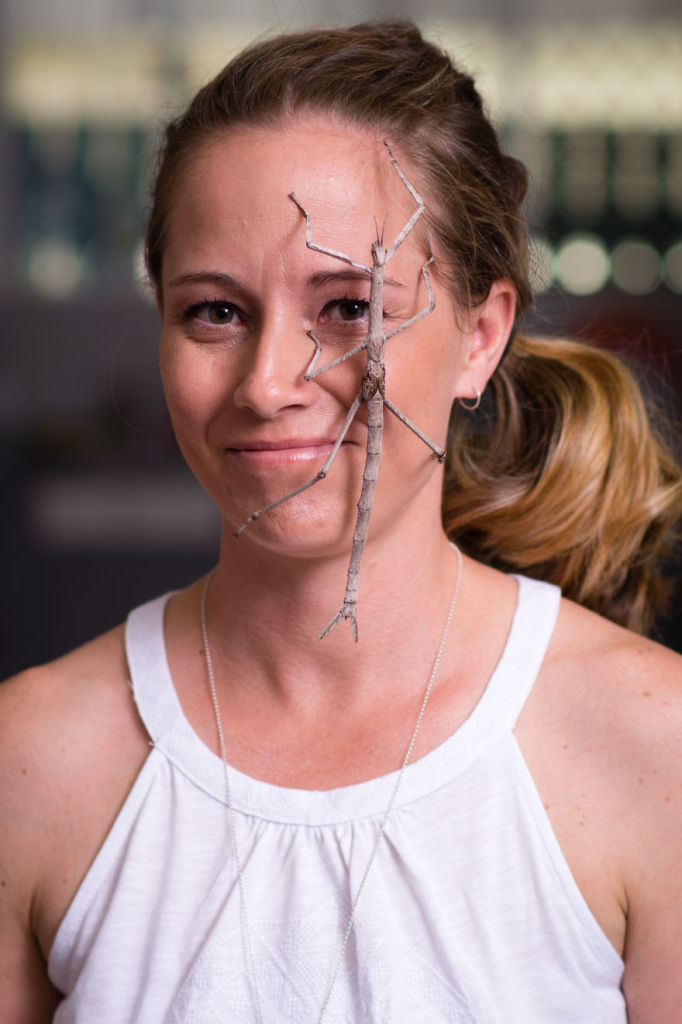 Lisa van Kula Donovan é entomologista e vive em Hervey Bay, Brisbane, na Austrália, onde cria aranhas e outros insetos