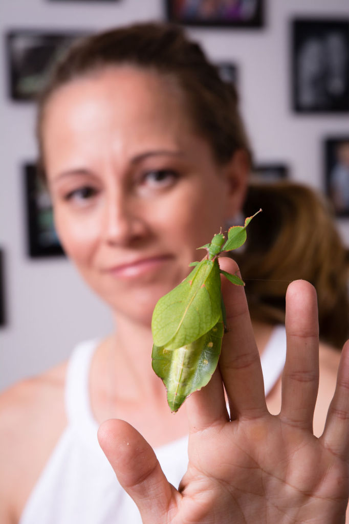 Lisa van Kula Donovan é entomologista e vive em Hervey Bay, Brisbane, na Austrália, onde cria aranhas e outros insetos