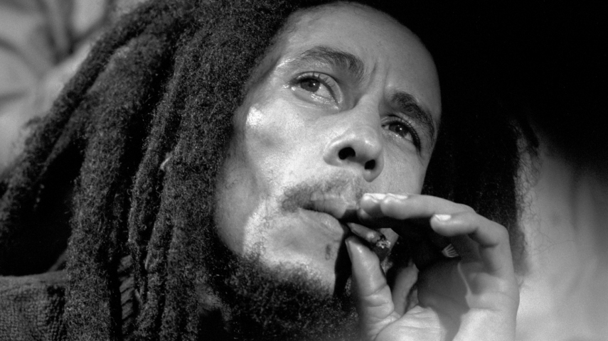 A CIA também é acusada pelos fãs de teorias da conspiração de matar Bob Marley. O cantor teria recebido botas da agência, que teria um fio de cobre. Esse fio estaria envenenado aos poucos o cantor com substâncias cancerígenas