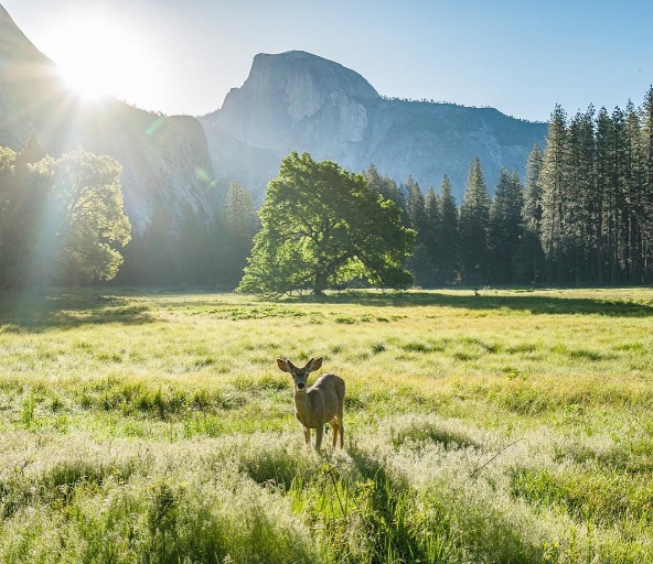 O americano Chris Burkard arrasa com fotos de viagens no Instagram e dá dicas para turbinar o perfil e deixar os cliques mais bonitos