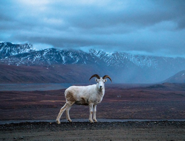 O americano Chris Burkard arrasa com fotos de viagens no Instagram e dá dicas para turbinar o perfil e deixar os cliques mais bonitos