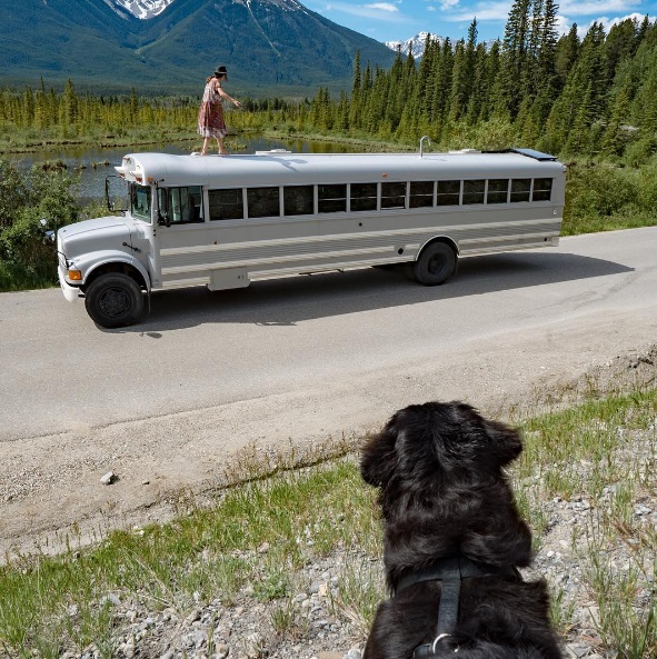 Felix Starck e Mogli transformaram um ônibus escolar em casa e viajam pelo mundo com o projeto Expedition Happiness