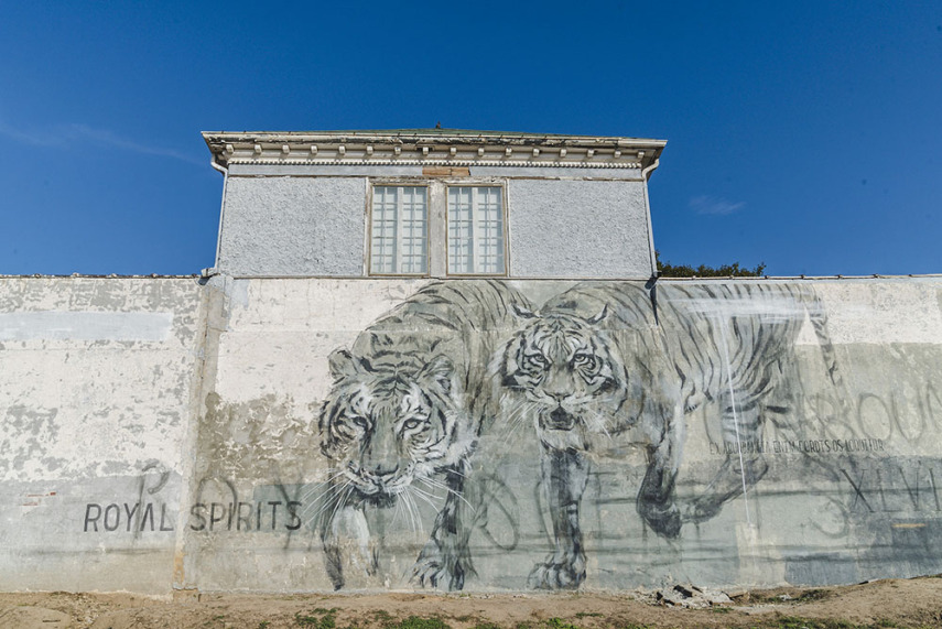 Ft. Smith é a segunda maior cidade de Arkansas, quase na divida som Oklahoma. A paisagem, antes tomada por fachadas antigas e prédios abandonados, ganhou cores e desenhos incríveis após a união de um coletivo de artistas chamado The Unexpected, um grupo ambicioso que se reuniu para revitalizar seu centro.  O coletivo fez uma força-tarefa para realizar mais de vinte obras espalhadas pela área. Escolas, muros, fachadas de lojas e prédios ganharam mosaicos coloridos, desenhos realistas e diversos desenhos incríveis. Boa parte dos artistas mobilizados fazem parte da Universidade de Arkansas, além de vários voluntários que se ofereceram para a execução das obras.