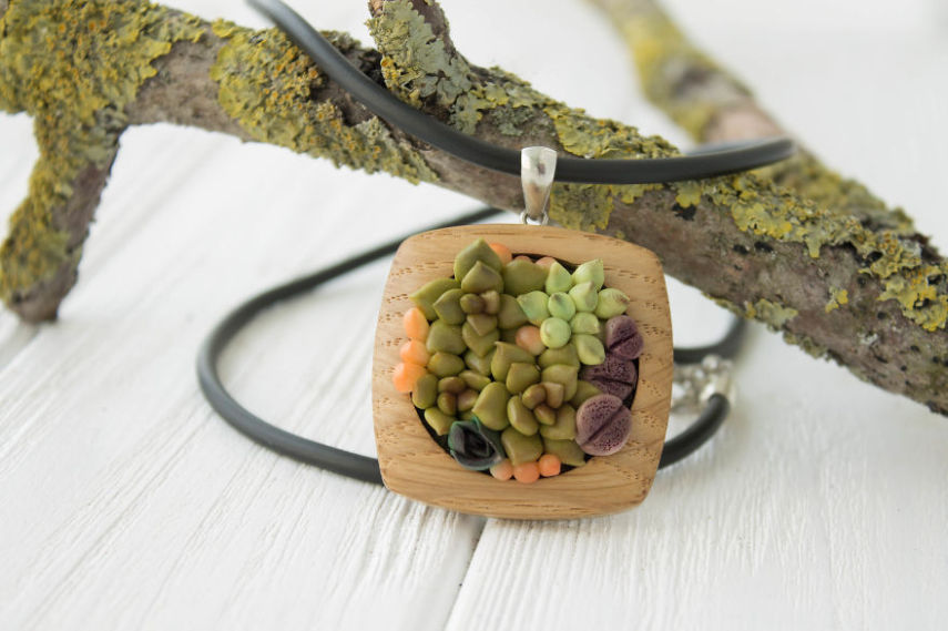 Designer se inspira em plantas suculentas