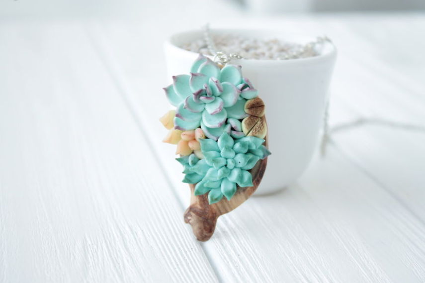 Designer se inspira em plantas suculentas