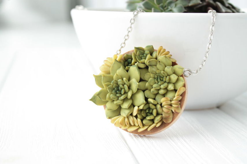 Designer se inspira em plantas suculentas