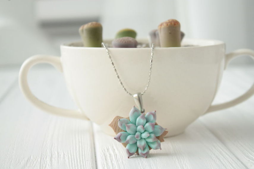 Designer se inspira em plantas suculentas